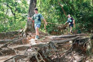 BIB: 
                            <button type="button" onclick="openModal(27721828)" class="btn btn-primary btn-sm float-right btn-popup" data-toggle="modal" data-target=".modal-high-quality">
                        <i class="fas fa-shopping-cart"></i> Add to Cart
                    </button>
                                            <button type="button" onclick="isThisMe(27721828, true)" class="btn btn-success btn-sm float-right btn-popup btn-isme hidden" data-toggle="tooltip" data-placement="bottom" title="นี่คือรูปของคุณใช่ไหม คลิกที่นี่เพื่อเอาเข้าอัลบั้ม">
                        <i class="fas fa-plus"></i> Add to album
                    </button>
                    <button type="button" onclick="isThisMe(27721828, false)" class="btn btn-warning btn-sm float-right btn-popup btn-isnotme hidden">
                        <i class="fas fa-ban"></i> Remove from album
                    </button>